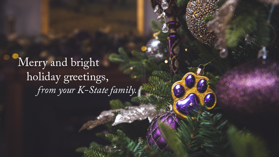 Merry and Bright Holiday Greetings