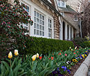 Flower garden in the front of the house.