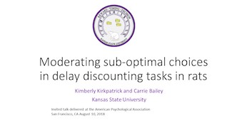 APA Talk Kirkpatrick 2018