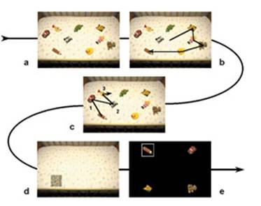 Eye_Movements_and_Memory