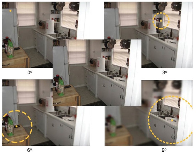 Fig 1a Loschky, Ringer et al. (2014)