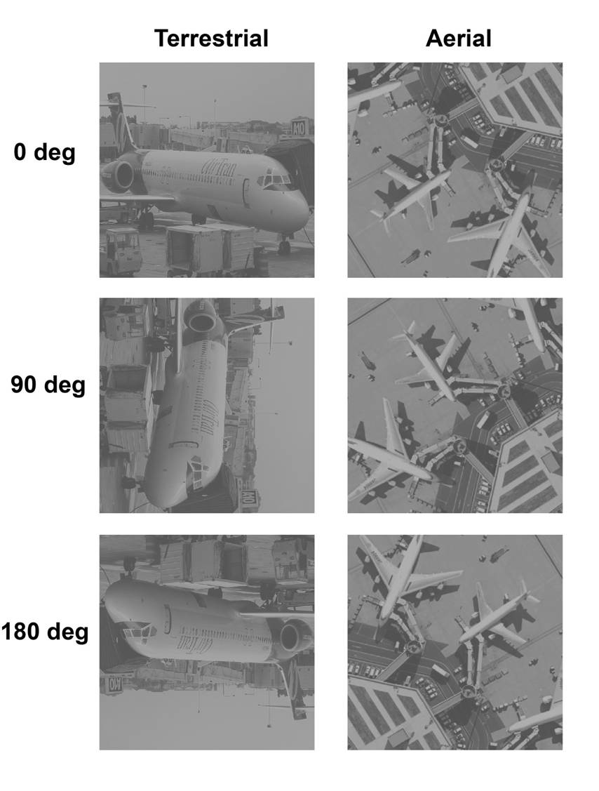 aerial vs terrestrial