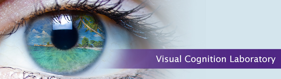 Visual Cognition Laboratory header with beach scene in eye graphic