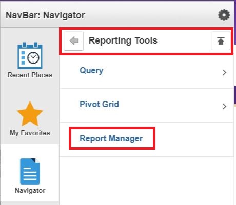 ReportManager