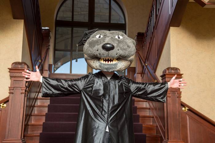 Grad gear Willie
