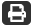 Print Icon