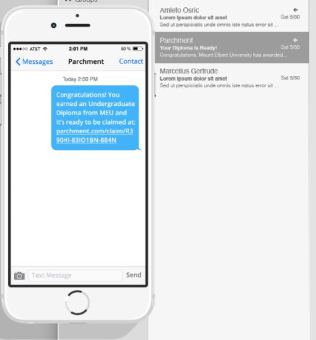 Mobile Phone View of Text