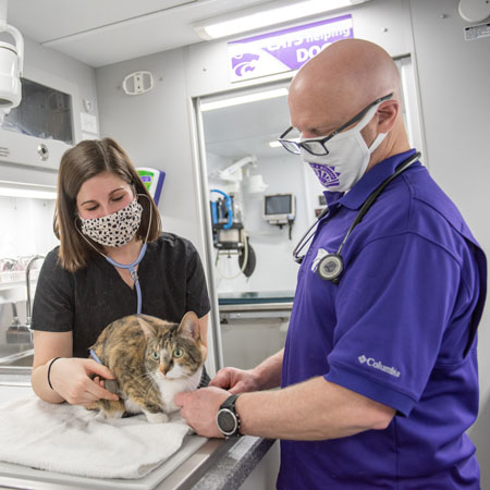 Shelter Medicine Mobile Surgery Unit