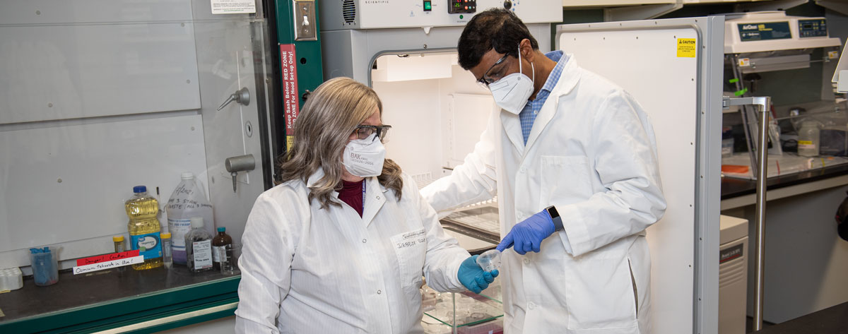 Deborah Jaworksi and Roman Ganta examine tick species.