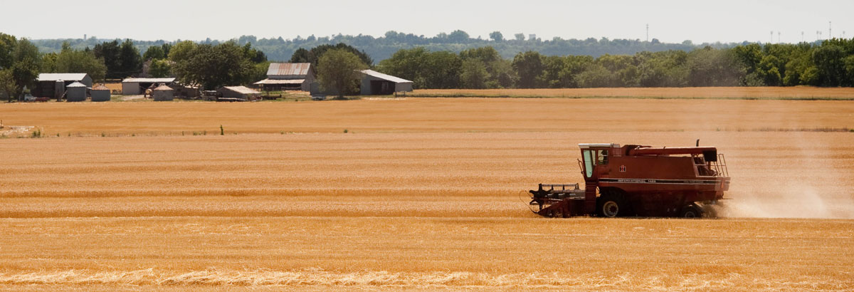 Wheat harvest in Kansas