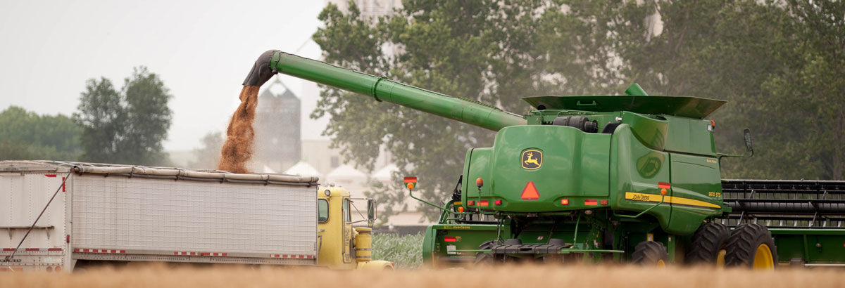 Wheat harvest in Kansas