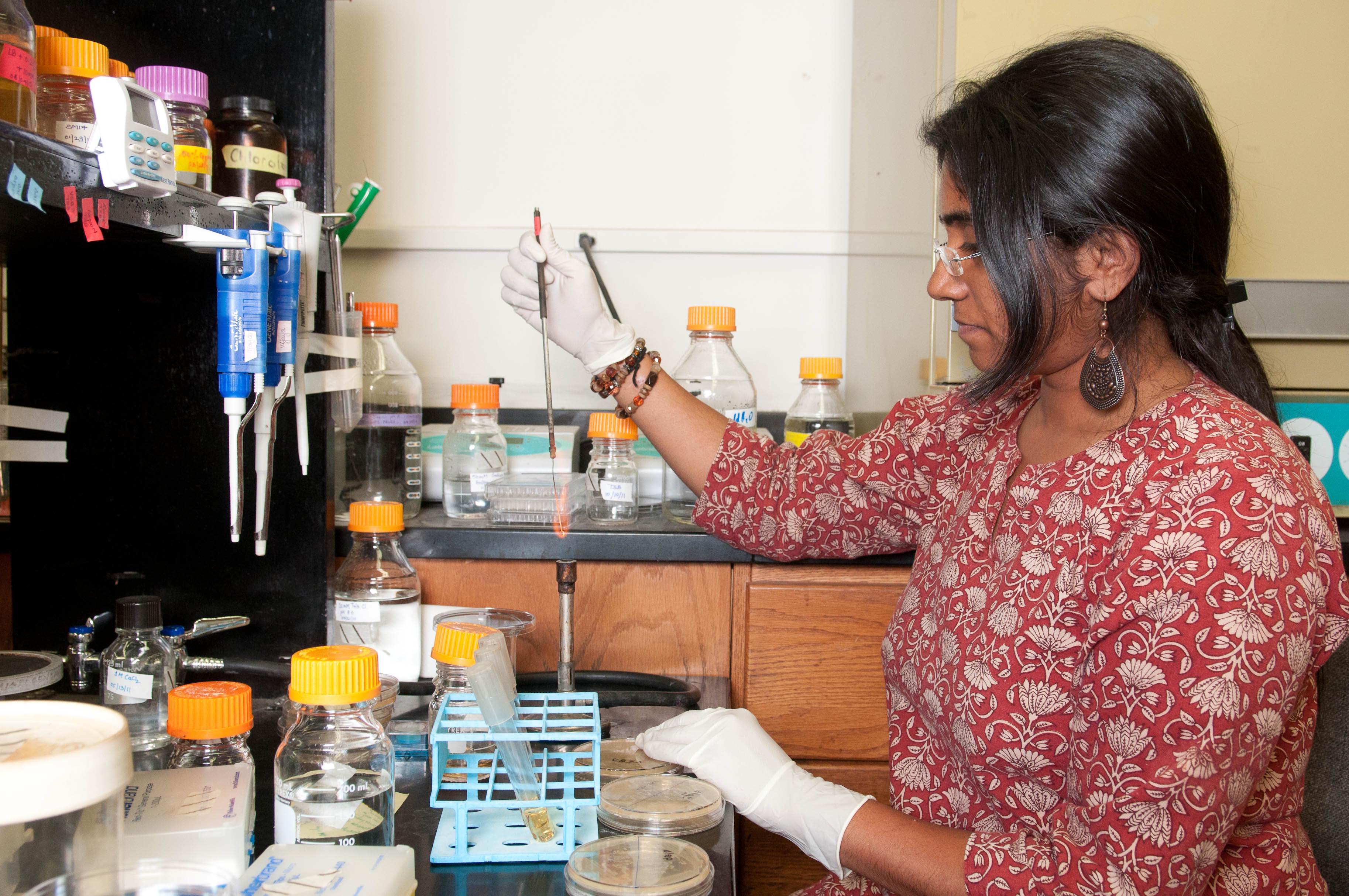 An undergraduate researcher works in a laboratory. 