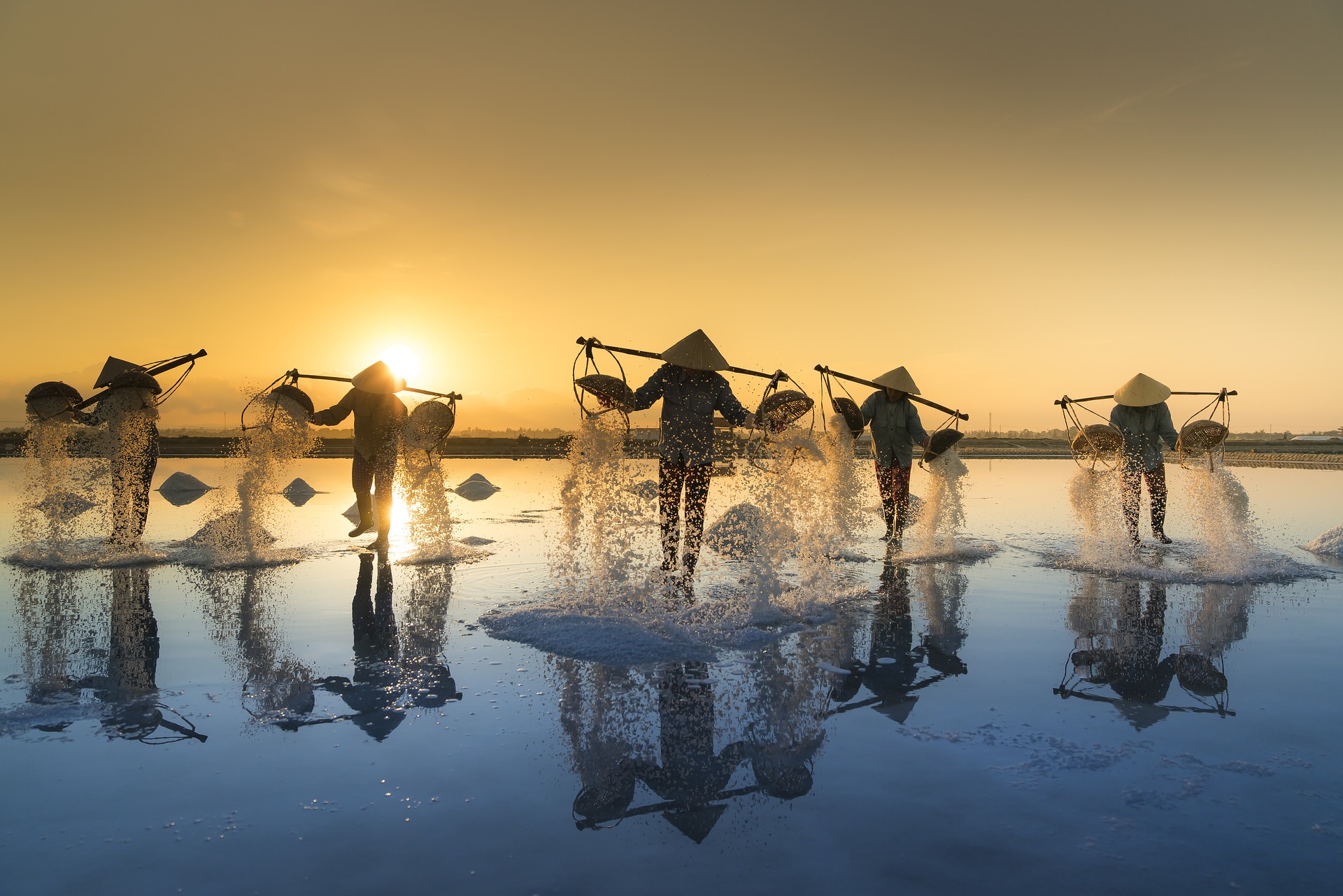 Salt harvest in vietnam.