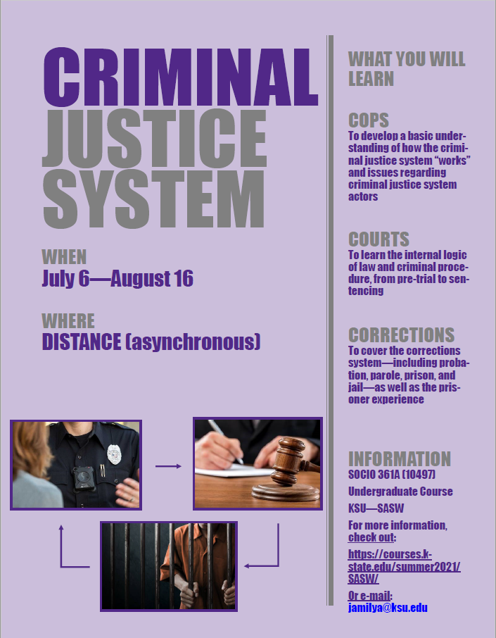 Criminal Justice System