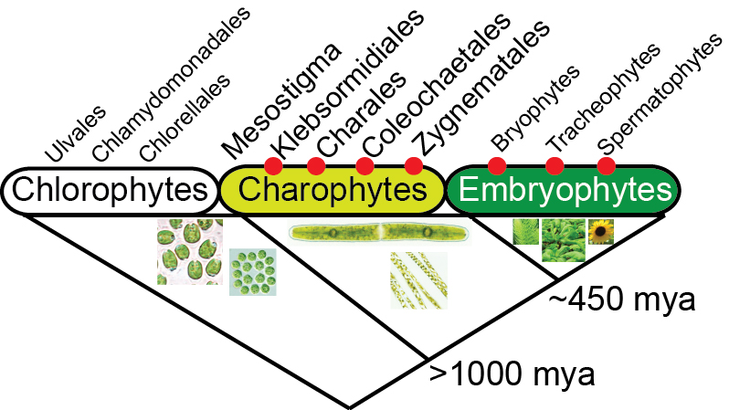 Fig3