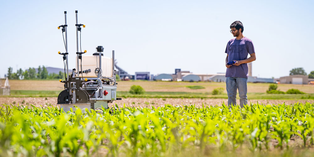 Agriculture robot in field