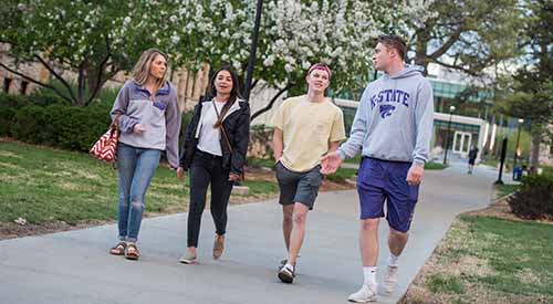 Group of students walking on campus