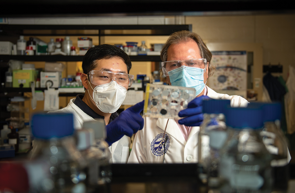 Juergen Richt's laboratory at the Biosecurity Research Institute