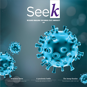 Seek research magazine cover