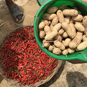 A safer global breadbasket