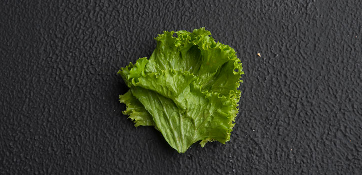 Lettuce leaf