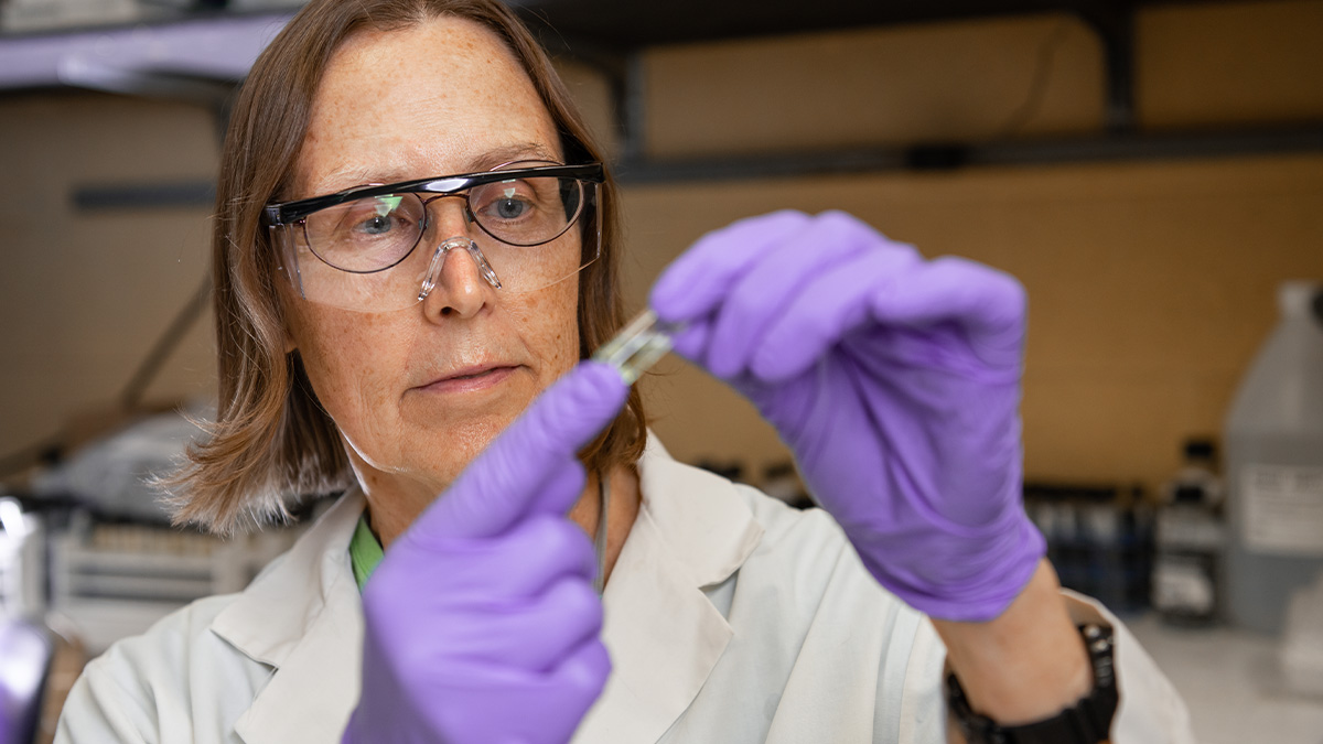 Ruth Welti examines a plant leaf sample.