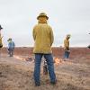 Using a ring fire technique to circle an area, the Konza Prairie burn crew starts with a slow fire into the wind, called a back burn.