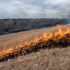 The fire reveals the limestone rocks that prevented much of the remaining tallgrass prairie from being plowed — thus preserving about 4-5 percent of the valuable landscape.  