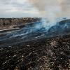 The head fire quickly burns across the prairie until it meets the already blackened areas and burns out. With time, small shoots of green will start to emerge among the charred landscape signaling spring. 