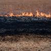 Around each watershed is a mowed section of prairie that helps to control the fire. As further control, that area is slowly burned to act as a stopping point.