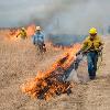 With the wind blowing away and water nearby, the burn crew can control a slow wide strip of prairie fire along mowed fireguards to serve as a stopping point for the head fire and prevent the fire from spreading to other areas.
