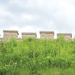 Green roof