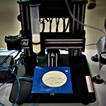 The cover of Seek Spring 2025.