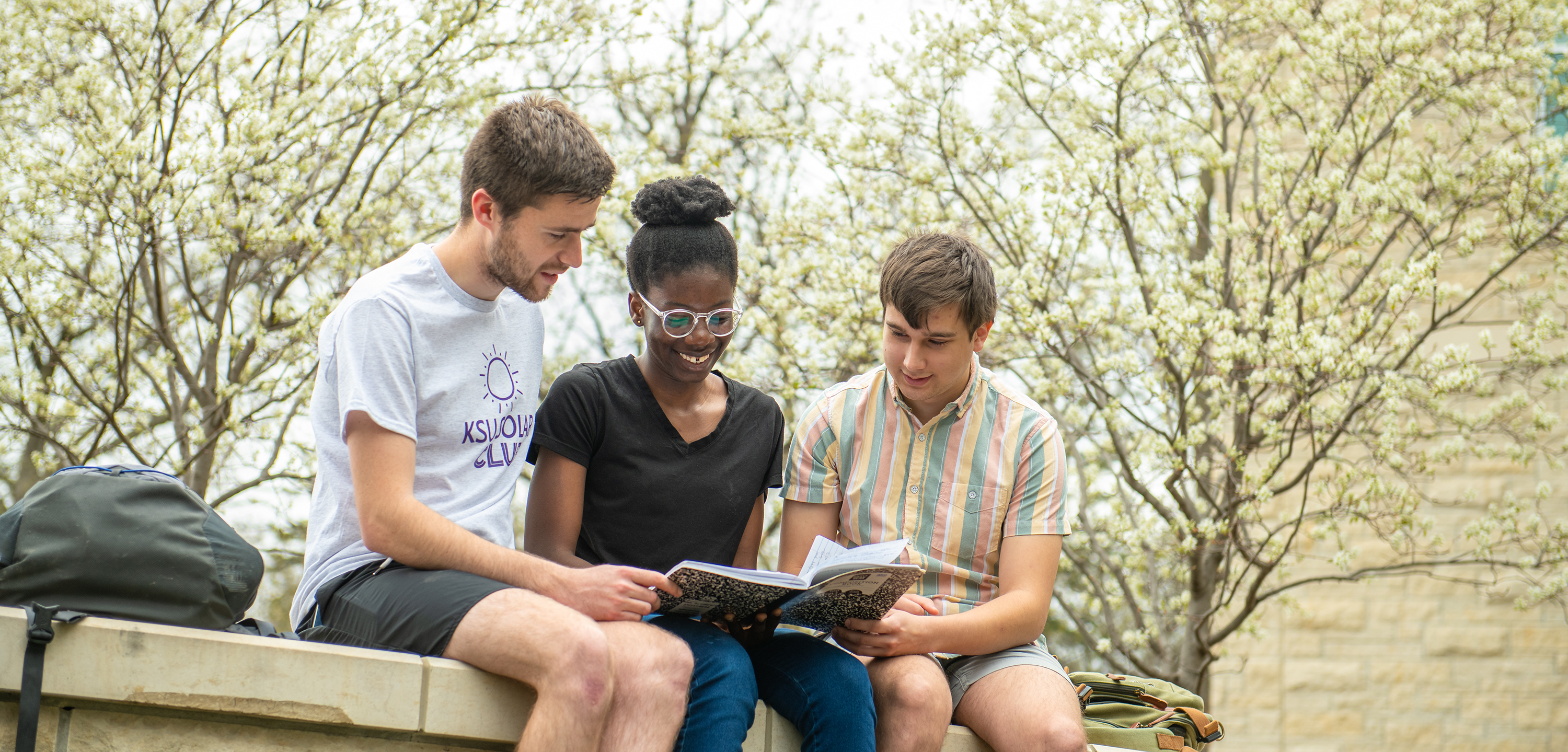 Three students studying outside together