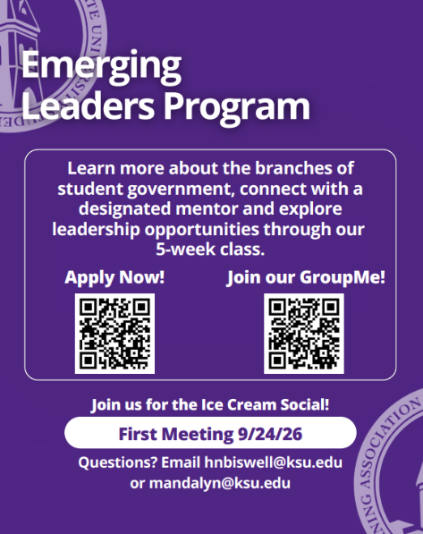 emerging leader flyer
