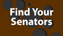 Senate Graphic