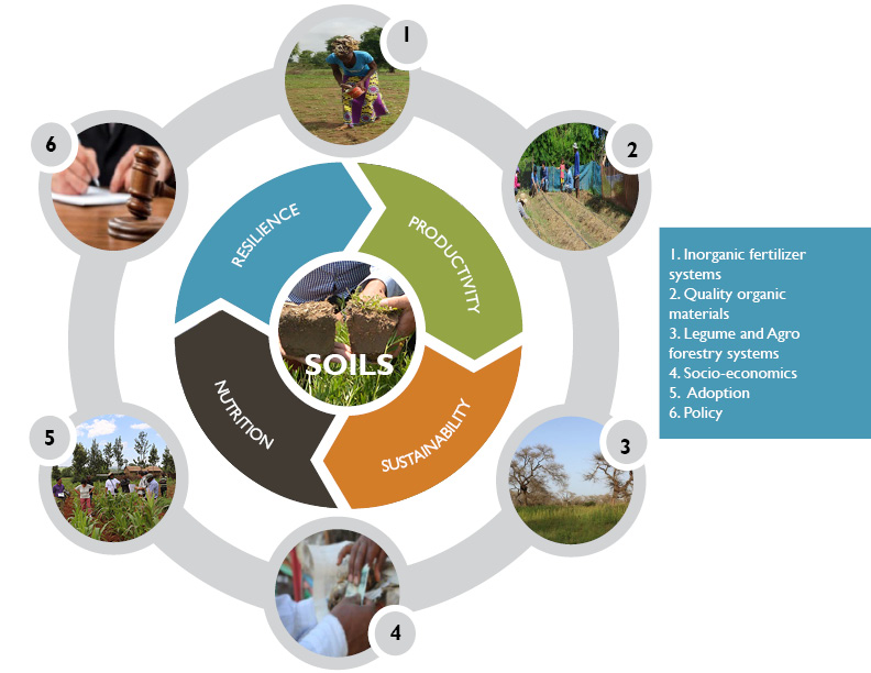 SOILS infographic modified