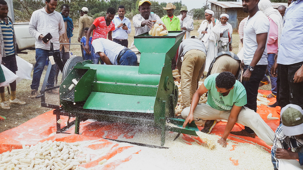 Ethiopia people working