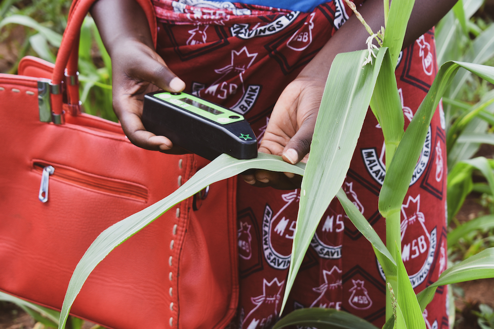 malawi field testing