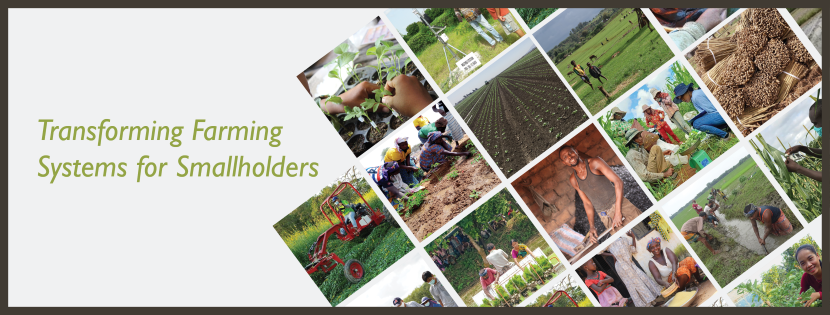 Photos of Smallholder Farmers