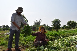 Farmers