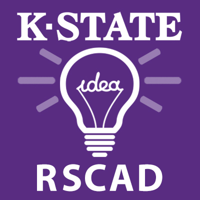 RSCAD icon