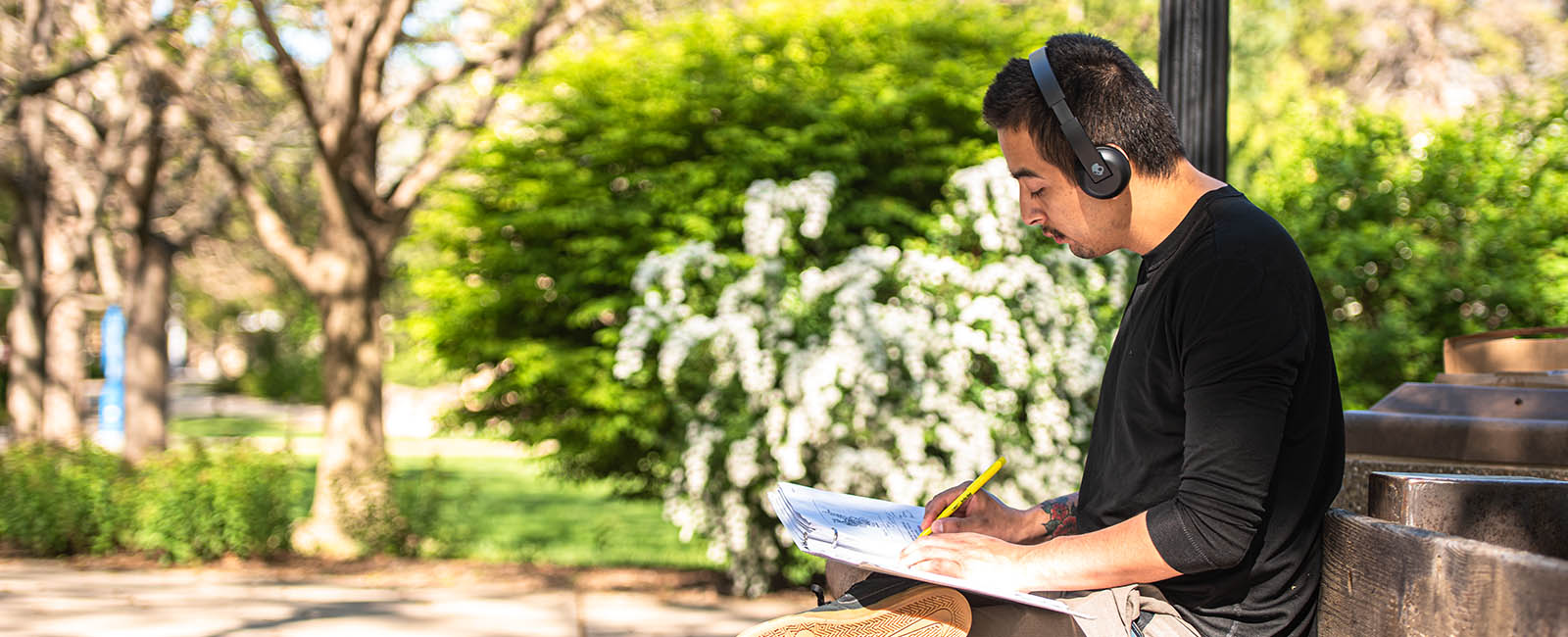 Student studying on campus