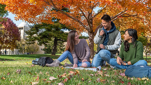 Students studying outside on campus