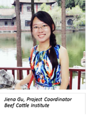 Jiena Gu, Project Coordinator, Beef Cattle Institute