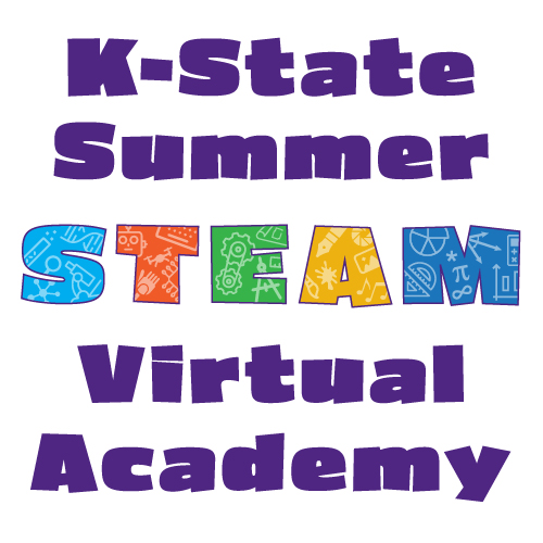 Summer STEAM Logo