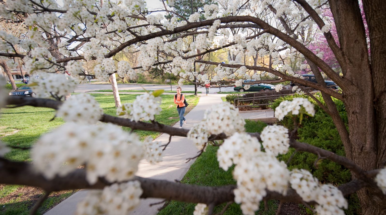 students walking