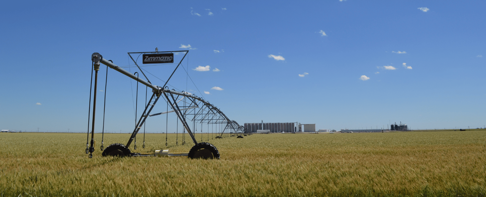 irrigation pivot photographed over young corn with a blue sky