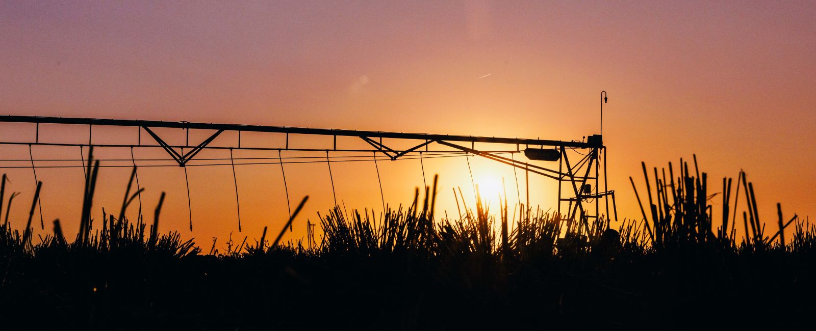 Agricultural irrigation sprinkler head in operation with water flowing