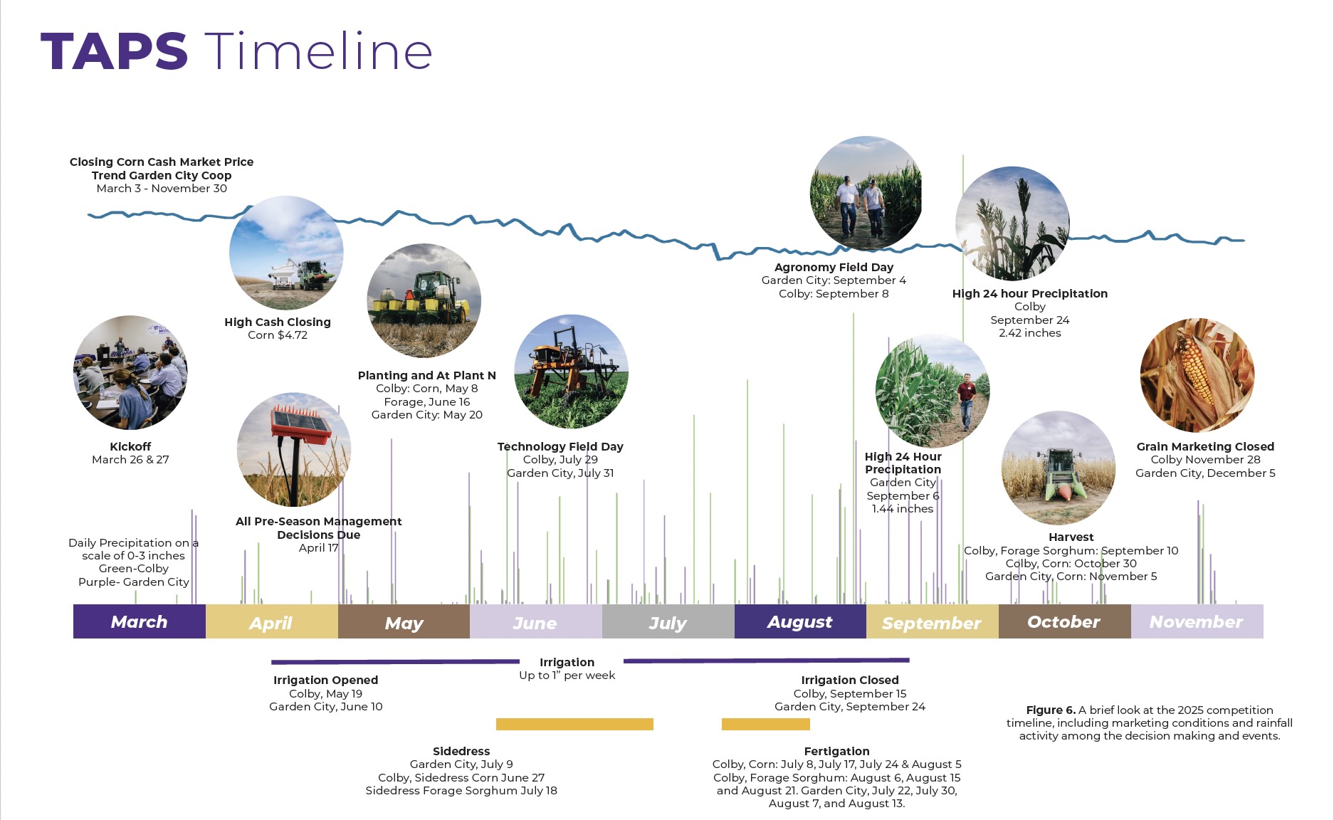 Timeline graphic of a TAPS growing season from March to November showing key events including kickoff, pre-season decisions, planting, irrigation periods, field days, precipitation events, harvest, and grain marketing, along with corn price trends and rainfall data for Colby and Garden City.